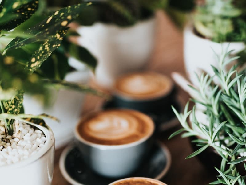 Café